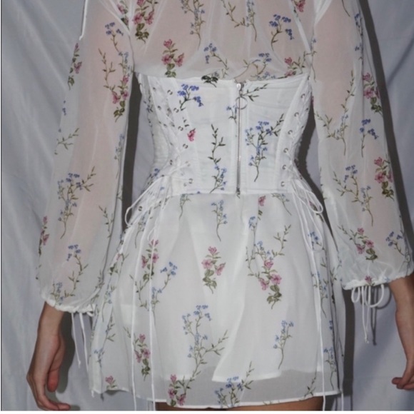 Lillie Chiffon Corset Dress - Picture 4 of 11